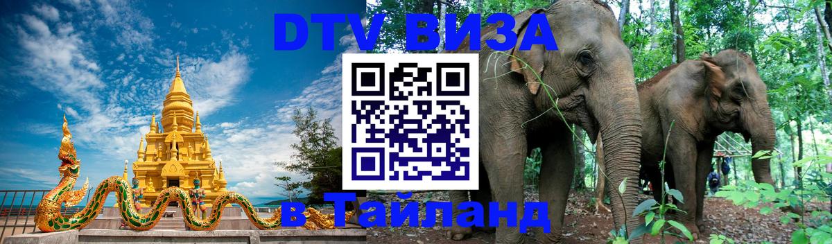 Как сделать DTV визу в Тайланд Волгоград 